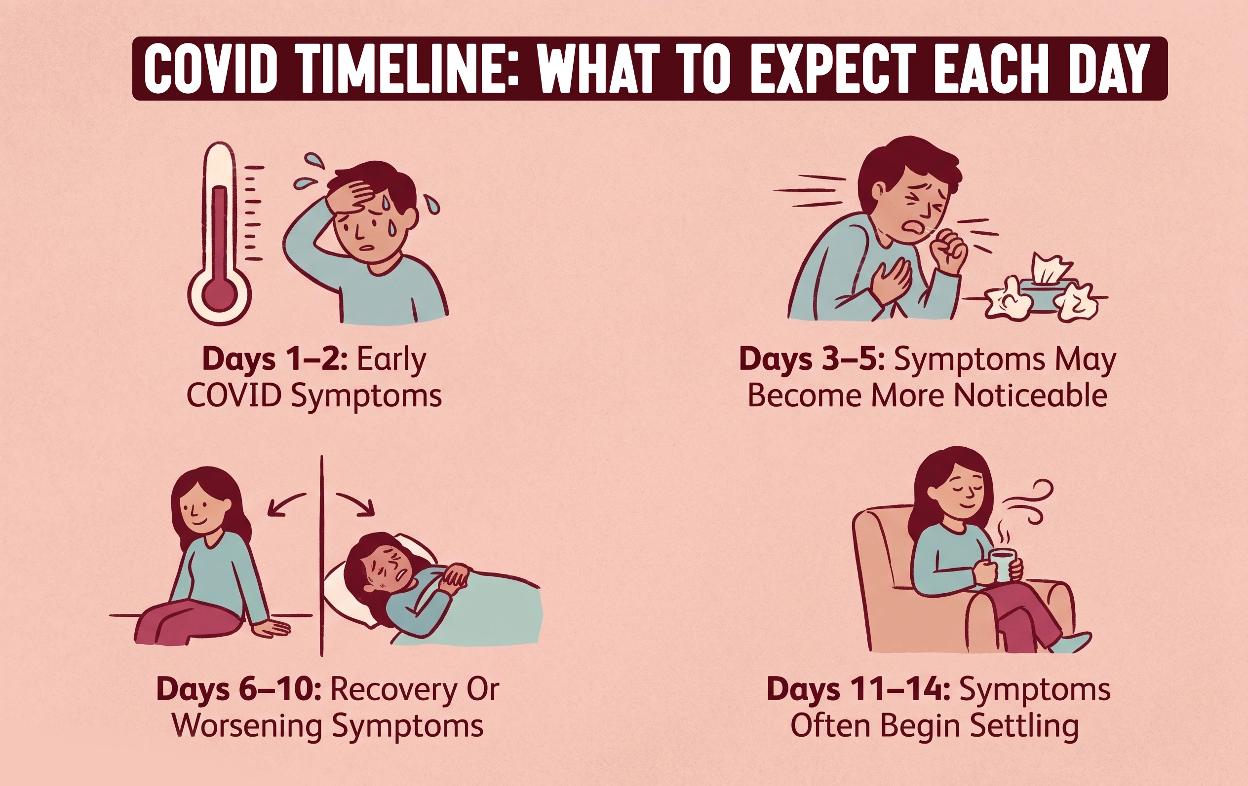 Infographic showing a 14-day timeline of COVID-19 symptom progression.